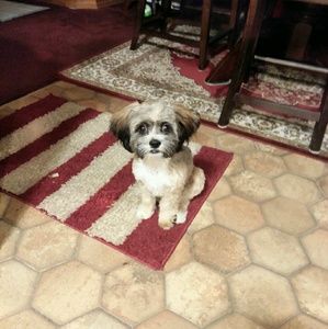 Meet your Posher, Peggy